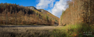 Klauzy