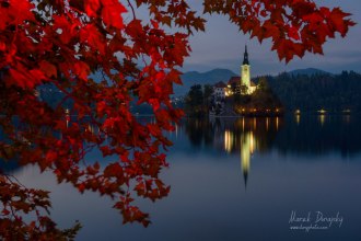 Bledské jazero - Blejsko jezero Bledské jazero - Blejsko jezero