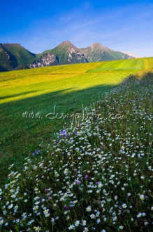Ždiarské polia, v pozadí Belianske TatryBelianske Tatry