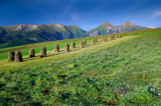 Ždiarské polia, v pozadí Belianske Tatry