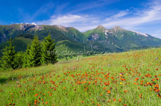Belianske Tatry