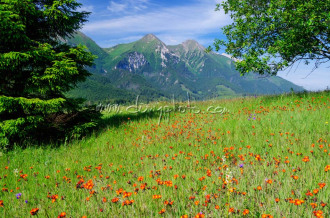 Belianske Tatry