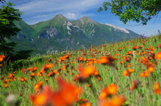 Belianske Tatry