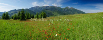 Panoráma Belianskych Tatier