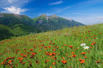 Belianske Tatry