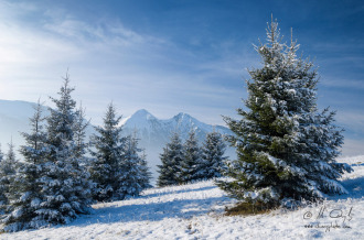Belianske Tatry