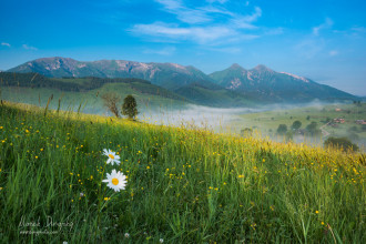 Belianske Tatry z Antošovského vrchu