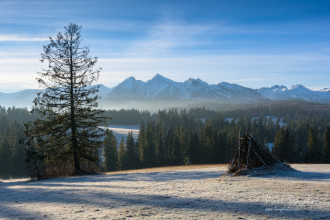 Belianske Tatry od Lapszanky (PL)
