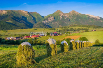 Ždiarské polia, v pozadí Belianske Tatry