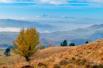 Lesnické sedlo a Vysoké Tatry z kopca Šlachovky (Wysoky Wierch)