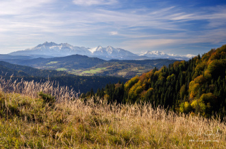 Výhľad z Lesníckeho sedla na Tatry