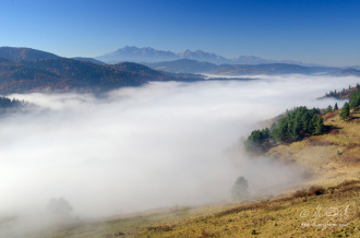 Výhľad z Lesnického sedla na Tatry