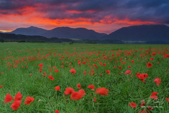 Liptov