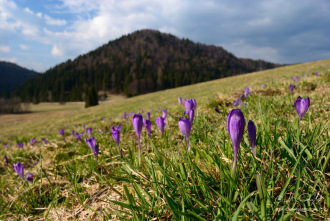 Jar na Voniarkach