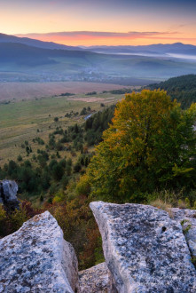 Dreveník, v pozadí Žehra
