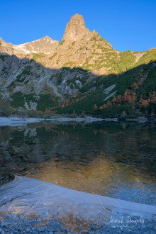 Jastrabia veža