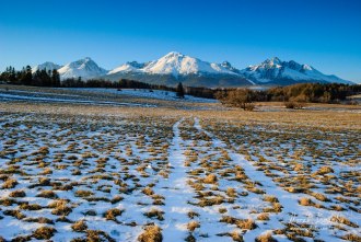 Vysoké Tatry